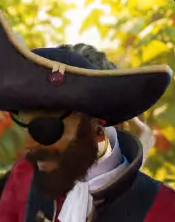 da pirate